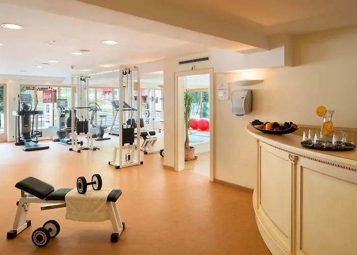 Adler Tyrol Mountain Superior Hotel Tux